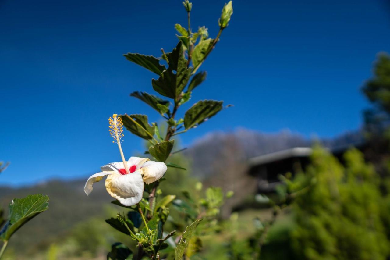 Sweeping Mountain View Retreat At La Cantane Villa Kundasang Екстер'єр фото