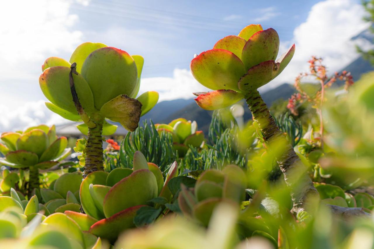 Sweeping Mountain View Retreat At La Cantane Villa Kundasang Екстер'єр фото